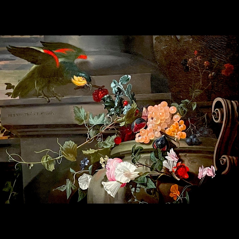 Meet your Posher, Lucy